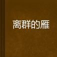 離群的雁 離群的雁