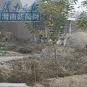 杜家村(浙江省杭州市蕭山區所前鎮杜家村)
