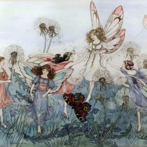 Dorothy Fitchew Dorothy Fitchew