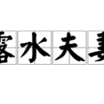 露水夫妻 露水夫妻
