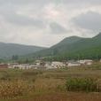 梁營村(山東濟寧市任城區二十里舖街道下轄村) 梁營村(山東濟寧市任城區二十里舖街道下轄村)