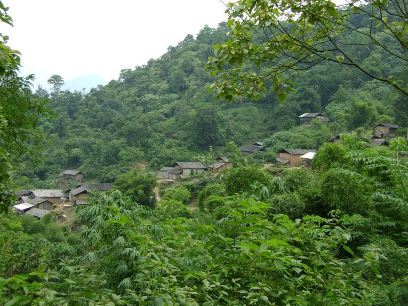 蜜蜂窩村 蜜蜂窩村