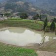 燈光村(重慶彭水縣龍溪鄉下轄村) 燈光村(重慶彭水縣龍溪鄉下轄村)