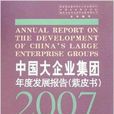 2007中國大企業集團年度發展報告