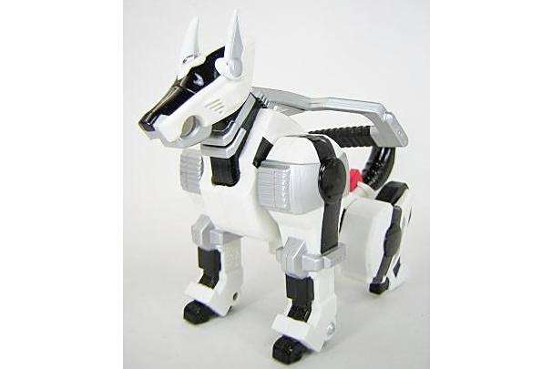 Murphy K9 Murphy K9