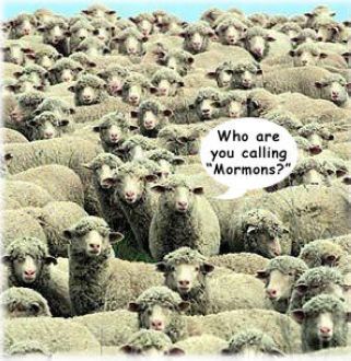 羊群從眾