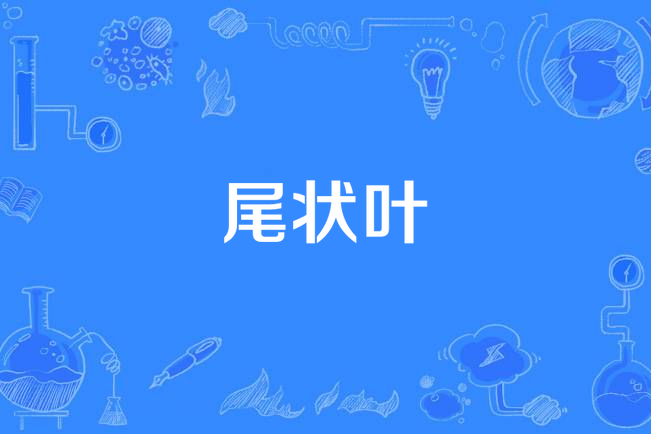 尾狀葉 尾狀葉