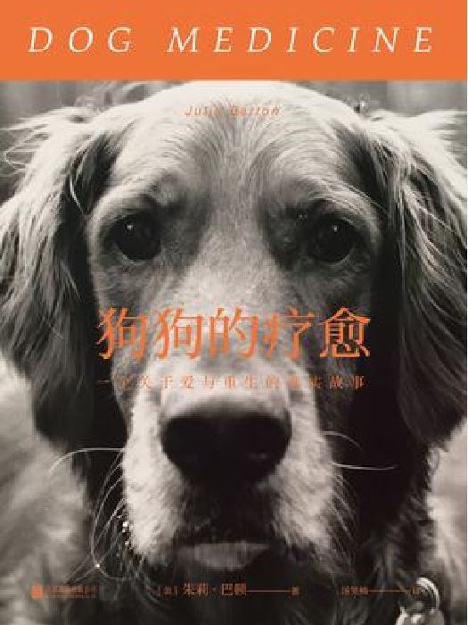 狗狗的療愈 狗狗的療愈