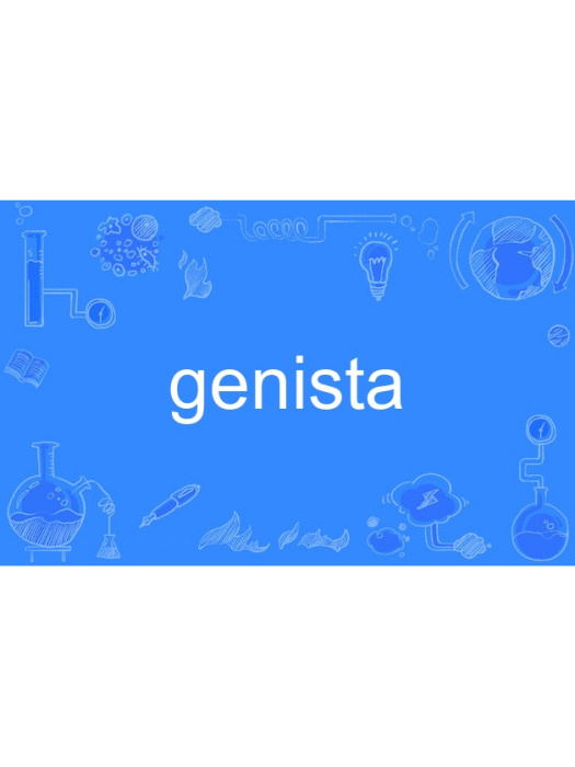 genista genista