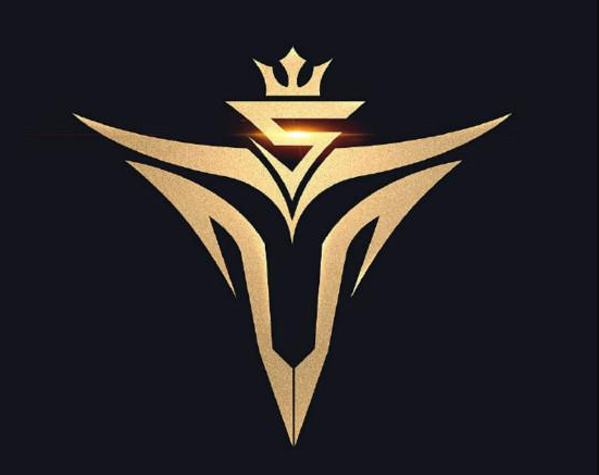V5電子競技俱樂部(V5(V5戰隊)) V5電子競技俱樂部(V5(V5戰隊))
