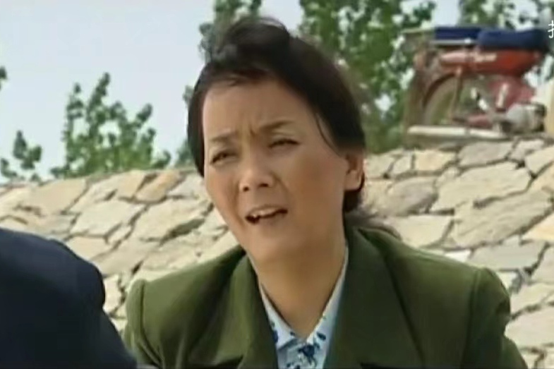 白琴(農村題材劇《走進八里堡》中的角色) 白琴(農村題材劇《走進八里堡》中的角色)