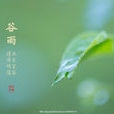 穀雨(節氣) 穀雨(節氣)