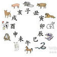 大生肖 大生肖