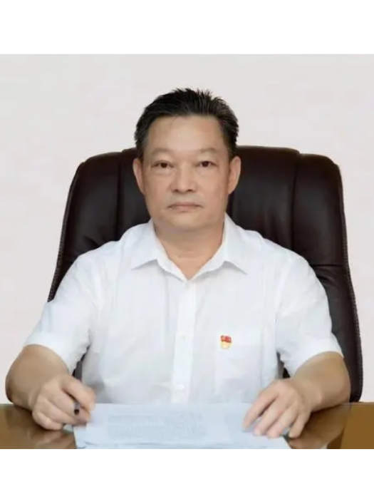 陳光輝(廣東省東莞市虎門鎮陳村社區黨總支部書記、居委會主任) 陳光輝(廣東省東莞市虎門鎮陳村社區黨總支部書記、居委會主任)