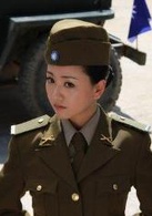保衛延安(唐國強主演電視劇)