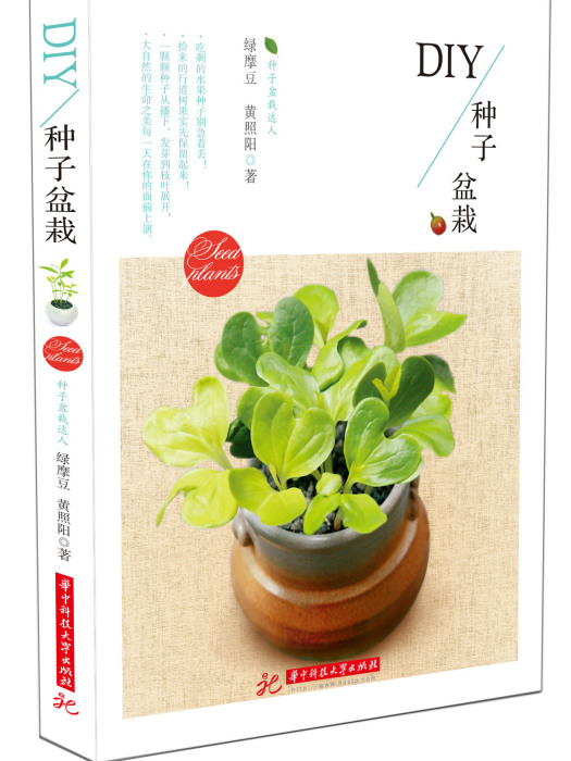 DIY種子盆栽 DIY種子盆栽