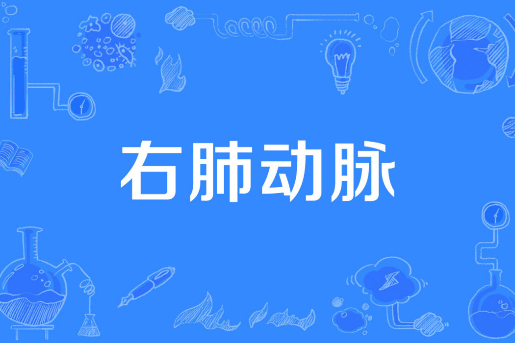 右肺動脈 右肺動脈
