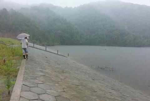 新崗山鎮