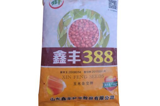 鑫豐388 鑫豐388