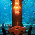 杜拜海底餐廳