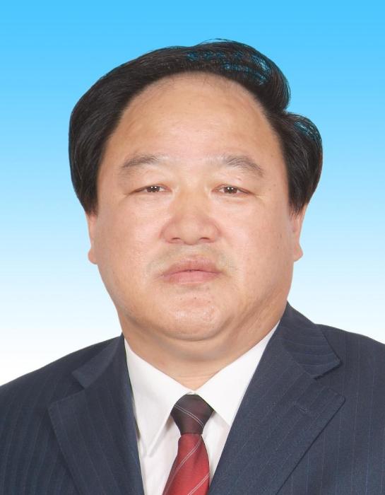 劉新東(聊城市人大常委會原副主任)