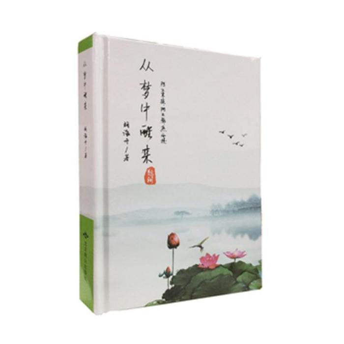 從夢中醒來 從夢中醒來