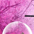 桃花訣(小說) 桃花訣(小說)