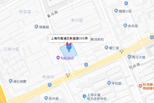 新昌路300弄 新昌路300弄