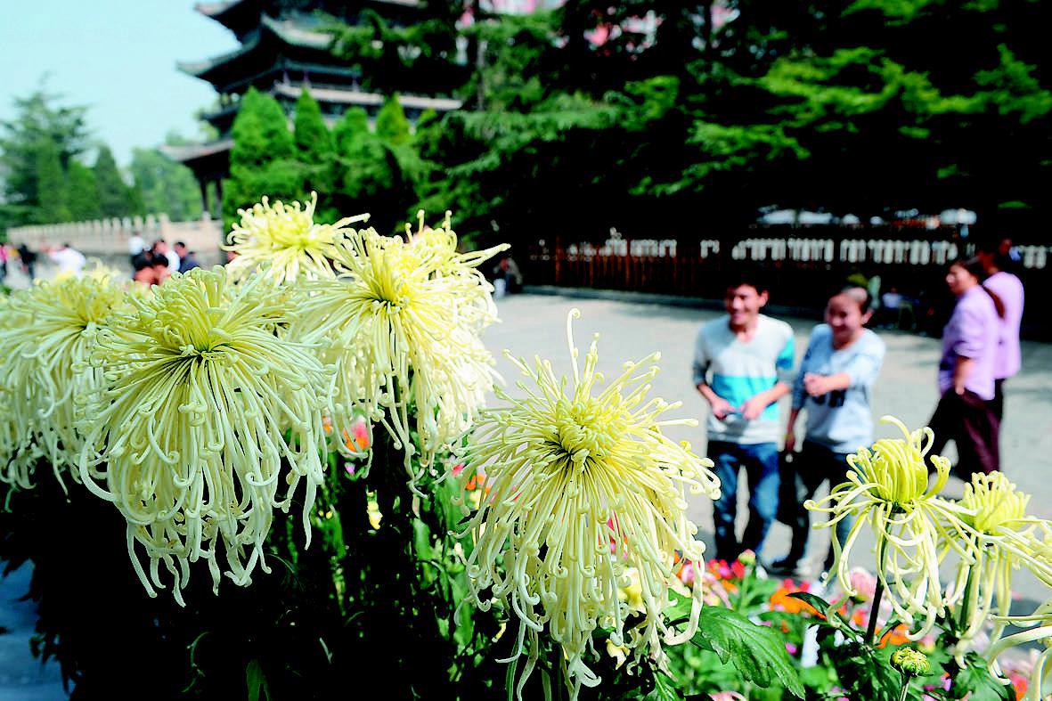 迎澤公園花卉市場