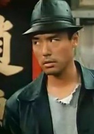 新精武門1991(新精武門1991)