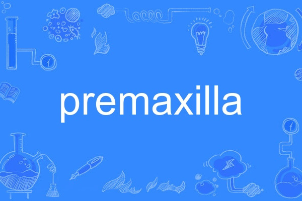premaxilla premaxilla