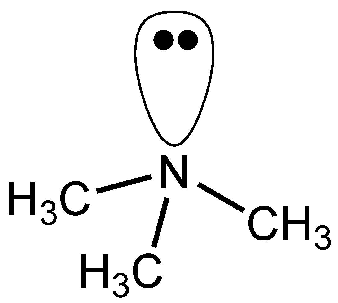 三甲胺的結構式