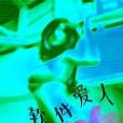 軟體愛人 軟體愛人