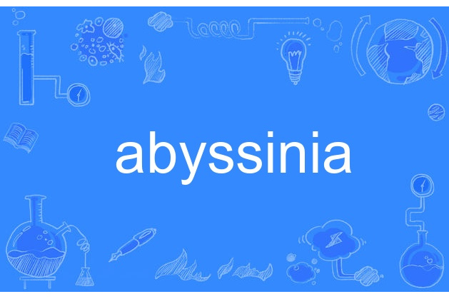 abyssinia abyssinia