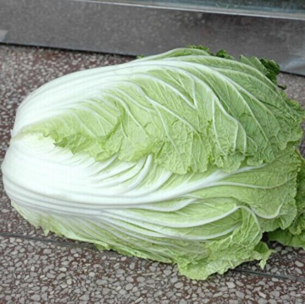 早雜5號 早雜5號