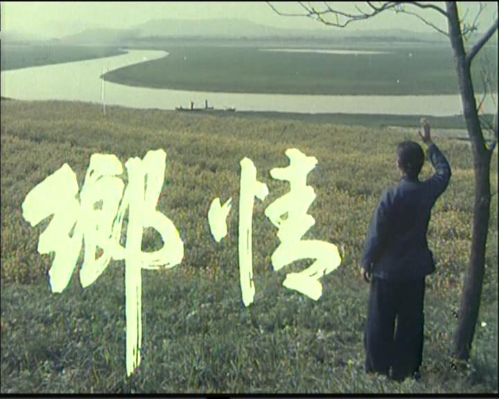 鄉情(1981年胡炳榴、王進執導電影)