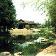 中國現代公園