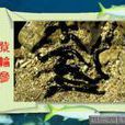 紫輪參 紫輪參