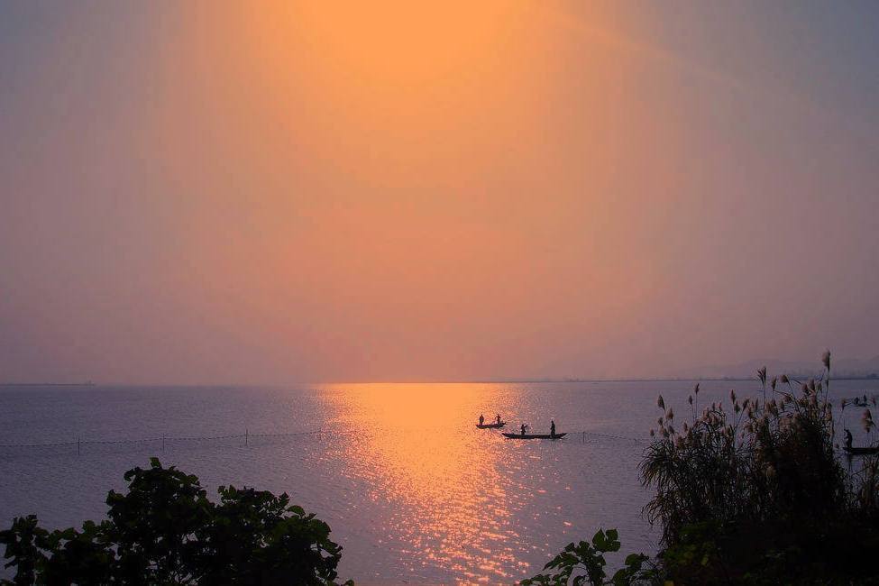 陳瑤湖 陳瑤湖