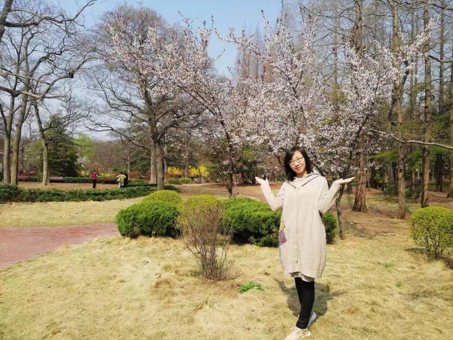 晉小婷 晉小婷