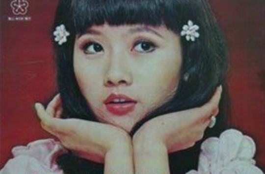 荷葉蓮花藕(1991年發行甄秀珍音樂專輯及單曲)