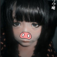 豬豬夢語 豬豬夢語