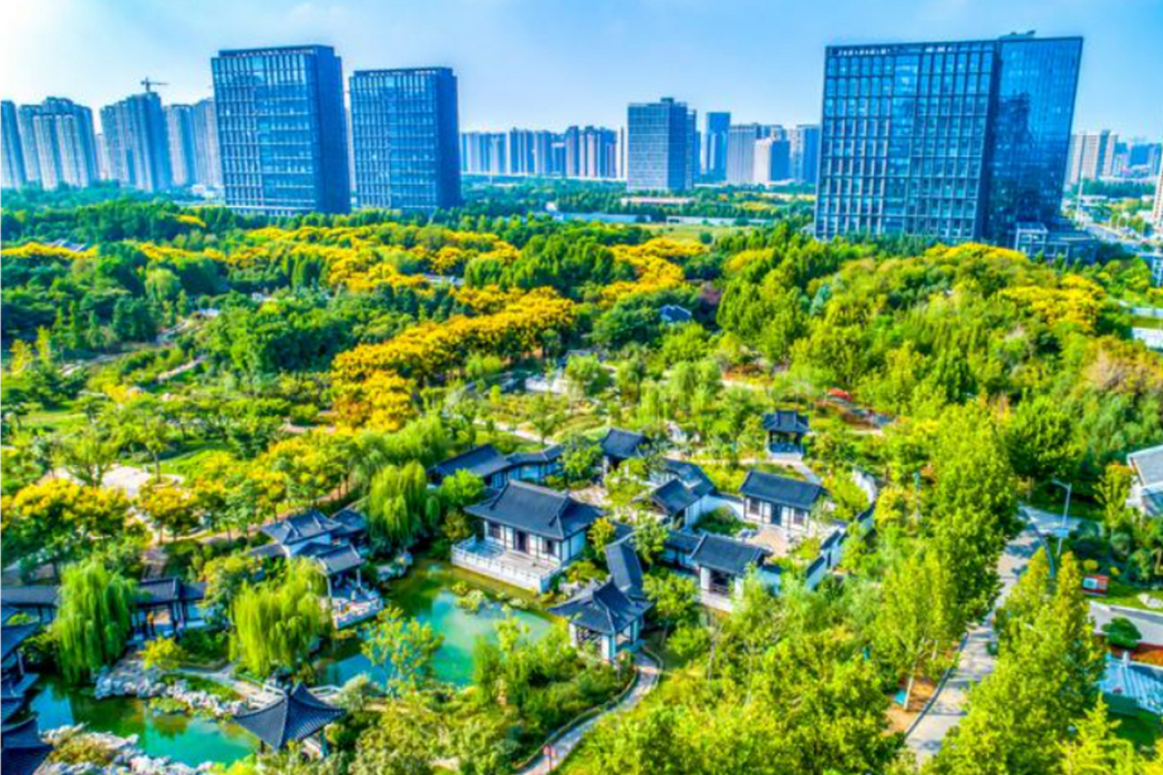 南環公園 南環公園