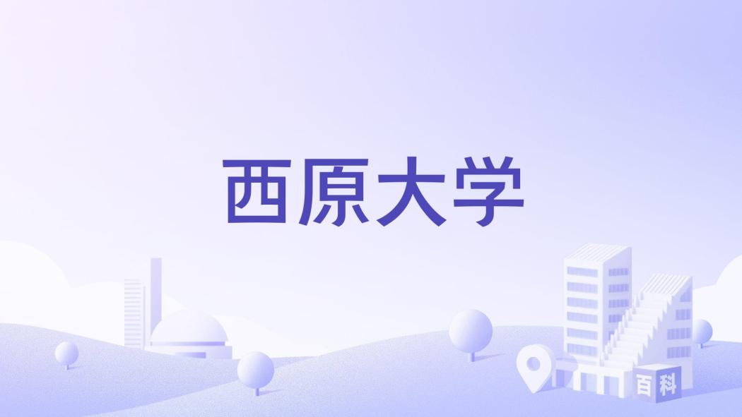 西原大學(越南公立大學)