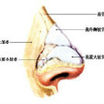 咽梅毒 咽梅毒