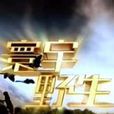 寰宇野生 寰宇野生