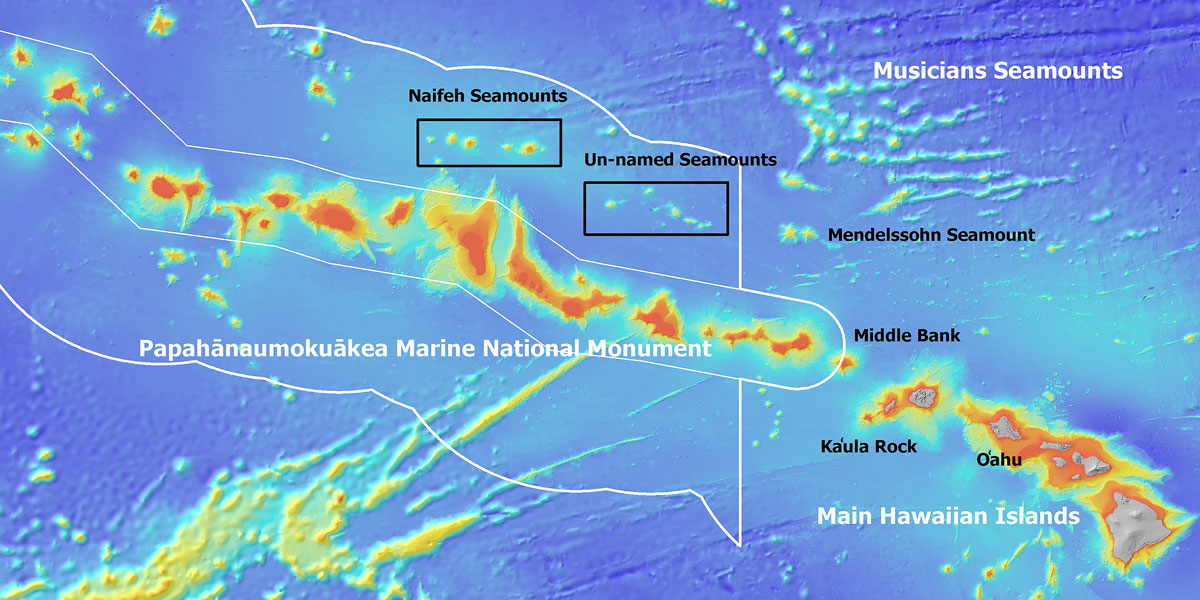 帕帕哈瑙莫夸基亞國家海洋保護區