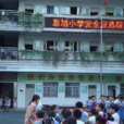 草樓國小 草樓國小