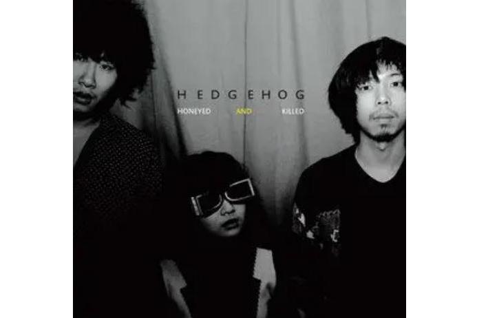 紙飛機(刺蝟演唱歌曲) 紙飛機(刺蝟演唱歌曲)