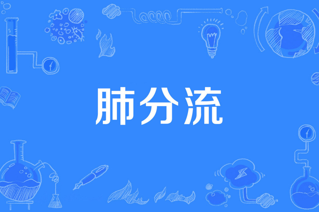 肺分流 肺分流